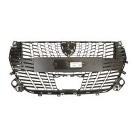 Griglia del radiatore