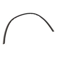 Guarnizione della portiera sulla striscia di rivestimento del tetto