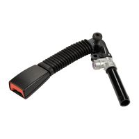 frusta di circonferenza