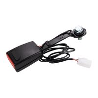 frusta di circonferenza