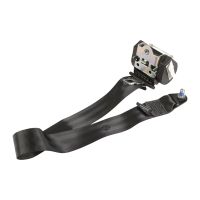 Cintura di sicurezza centrale posteriore