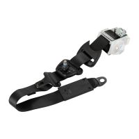 Cintura di sicurezza posteriore sinistra