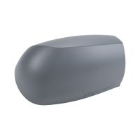 Copertura dello specchietto esterno destro