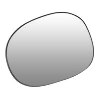 Vetro a specchio dell'ala sinistra