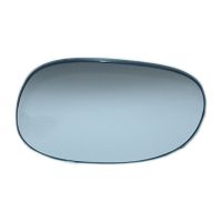 Vetro a specchio dell'ala sinistra