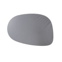 Vetro a specchio dell'ala destra