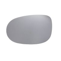 Vetro a specchio dell'ala sinistra