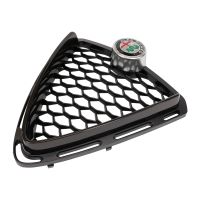 griglia del radiatore