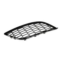 Griglia del radiatore sul paraurti destro