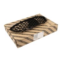 Griglia anteriore sul paraurti sinistro