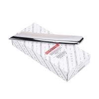 Striscia di copertura sul paraurti anteriore lato sinistro