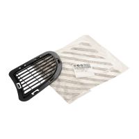 Griglia radiatore anteriore sinistra