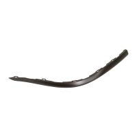 Striscia del paraurti posteriore sinistra