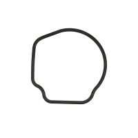 O-ring Termostato O-ring