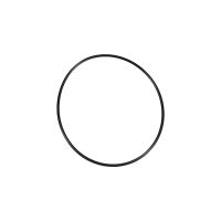 O-ring pompa del vuoto Pompa del vuoto Booster del freno