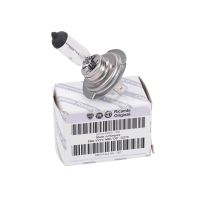 Proiettore di luce H7 55W originali