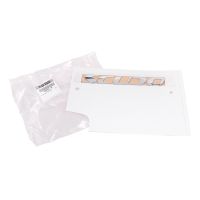 Incisione *Scudo* sul retro