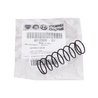 Molla per pomello del cambio