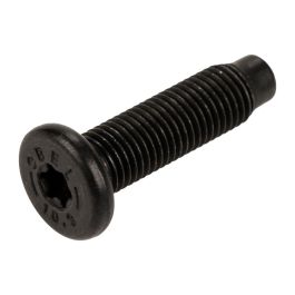 Viti a testa cilindrica con esagono incassato, grado 12.9, viti cilindriche antifurto ad alta resistenza a testa cilindrica, bulloni a testa cilindrica M6M8M10-M10x16 [2 pezzi