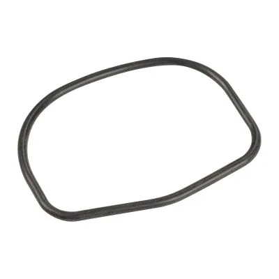 AJUSA Guarnizione Termostato | Qualità OE, Prodotto In Spagna, Per Opel B12XEL/B14XEL/B14XER (2010-2015)
